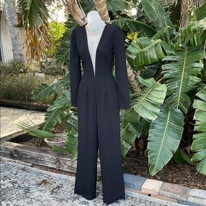 dress the population deep v jumpsuit
